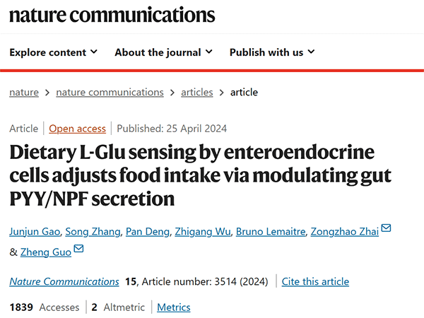 Dietary L-Glu sensing by enteroendocrine cells adjusts food intake via modulating gut PYY/NPF secretion