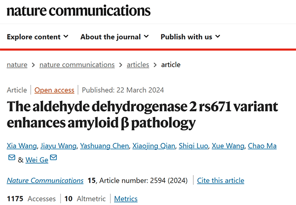 The aldehyde dehydrogenase 2 rs671 variant enhances amyloid β pathology