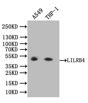 CSB-PA850914ESR2HU