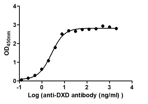 The Binding Activity of ADC-DXD(1) with Anti-DXD antibody