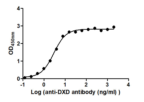 The Binding Activity of T-DXd(DS-8201) with Anti-DXD antibody.