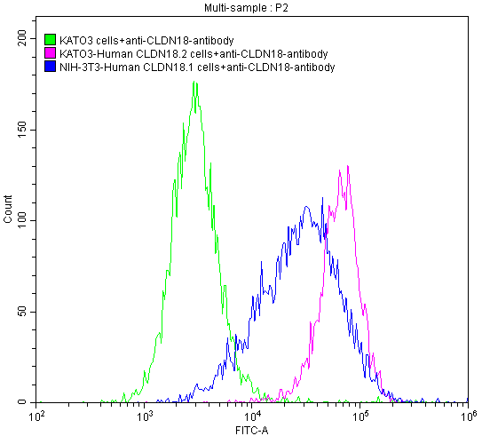 CSB-RA005498A2HU FC