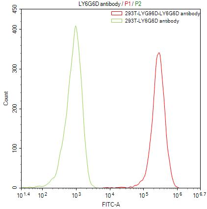 CSB-RA013246MA1HU FC