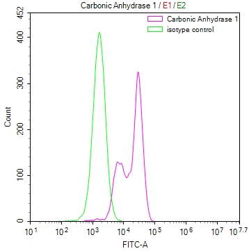 CSB-RA217389A0HU FC