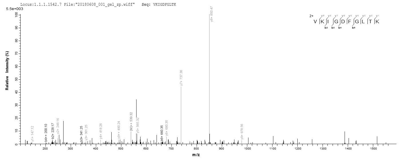 CSB-EP011931HU