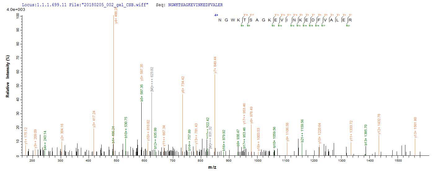 CSB-EP019801HU LC-MS/MS-1