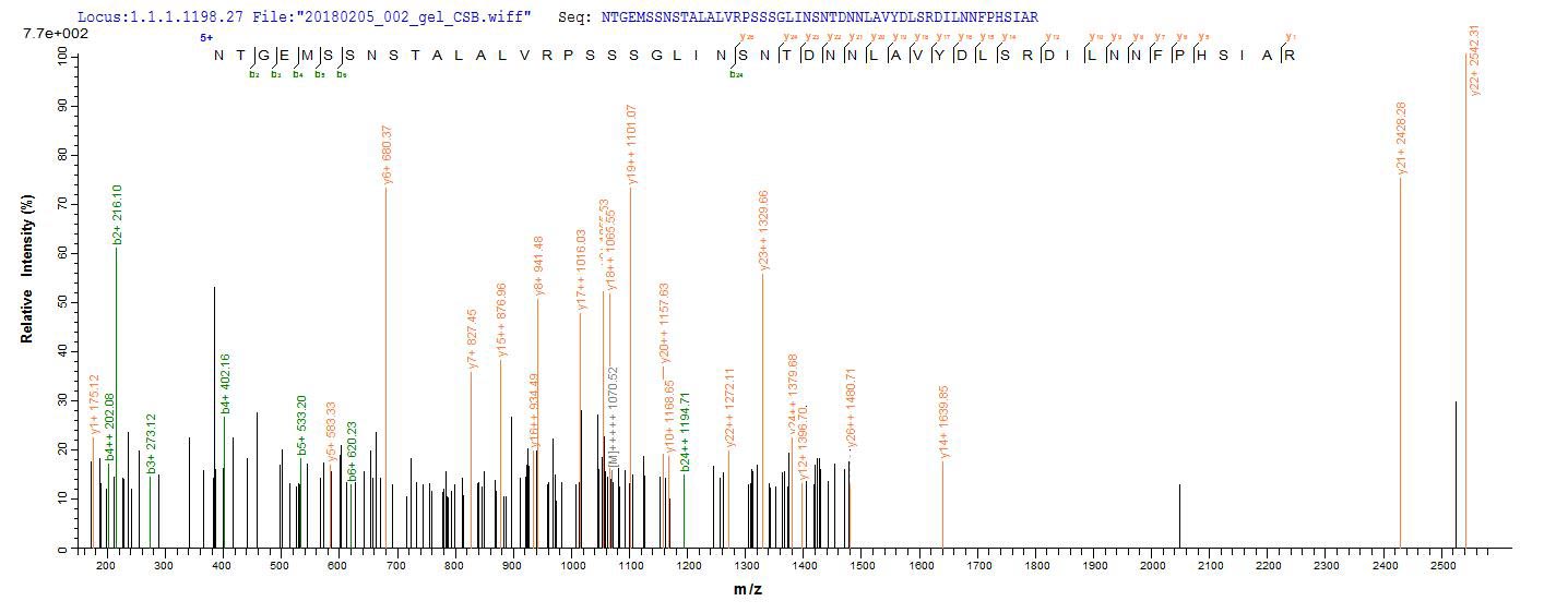 CSB-EP711093HU LCMS