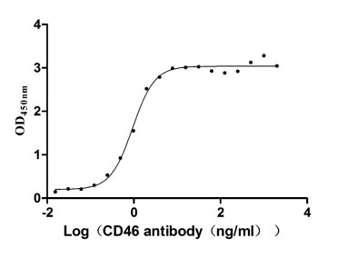 CSB-MP004939HU Activity Verified