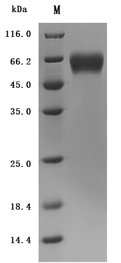 CSB-MP5268MOV