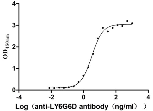 CSB-YP013246HU ELISA