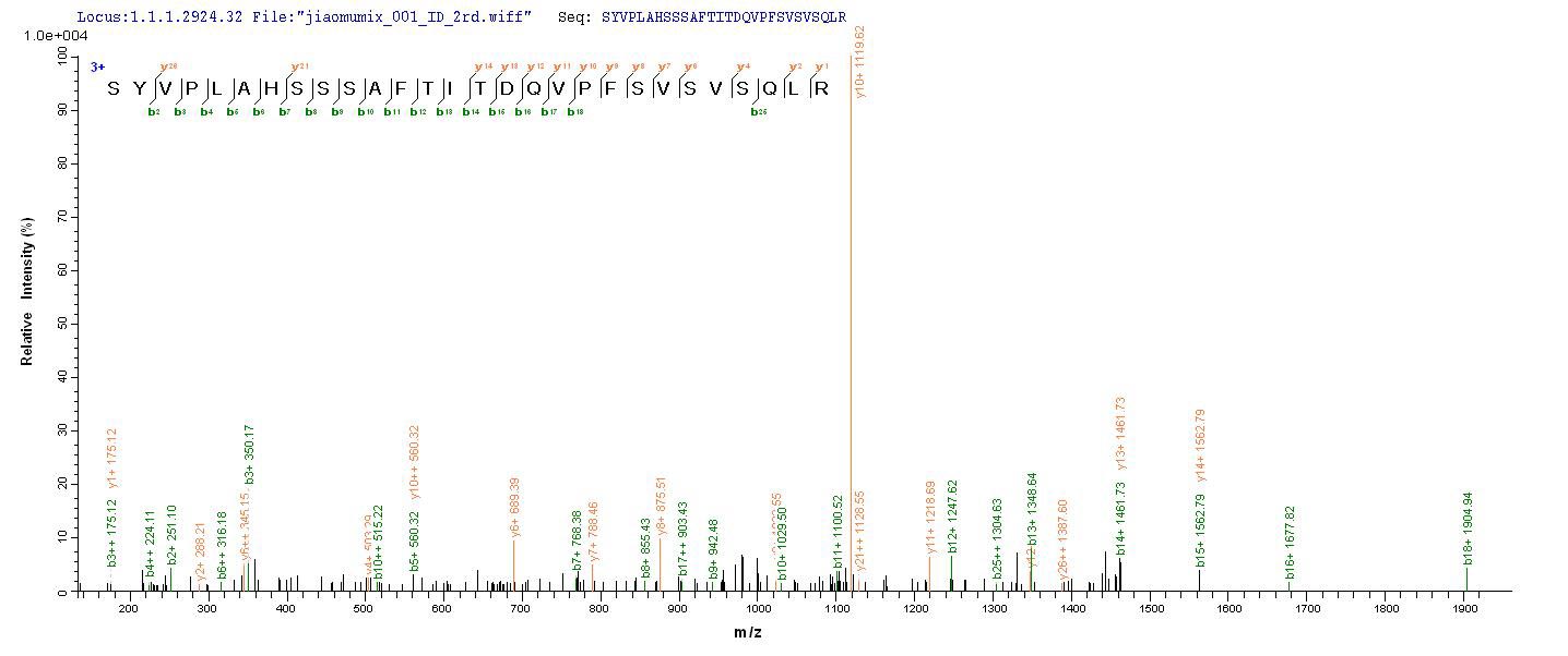 CSB-YP021324HU LC-MS-1