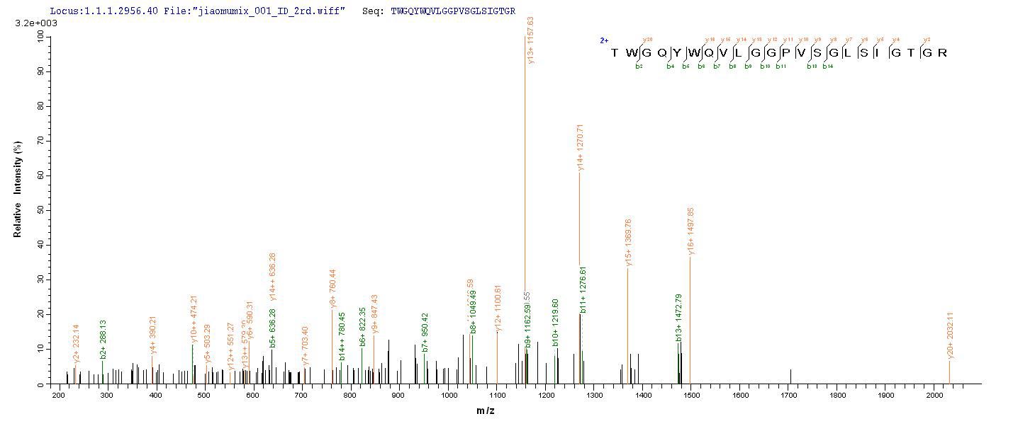 CSB-YP021324HU LC-MS-2