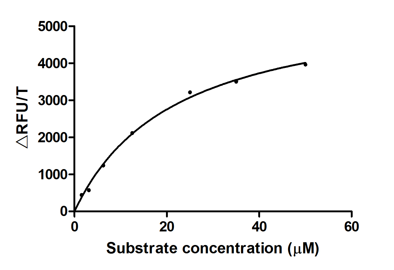 CSB-YP023924HU ELISA1