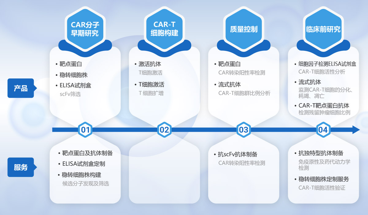 CAR-T細胞治療開發(fā)解決方案