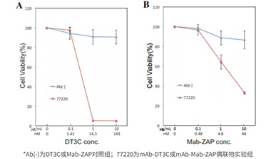 抗體內(nèi)化效率明顯高于Mab-ZAP