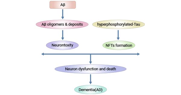阿爾茨海默病的發(fā)病機制
