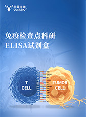 免疫檢查點(diǎn)科研ELISA試劑盒