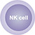 NK cell