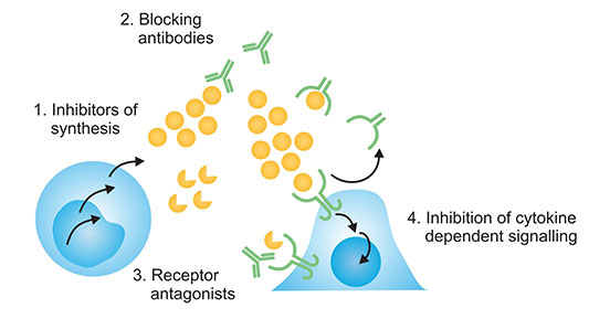 細胞因子抑制劑的特點